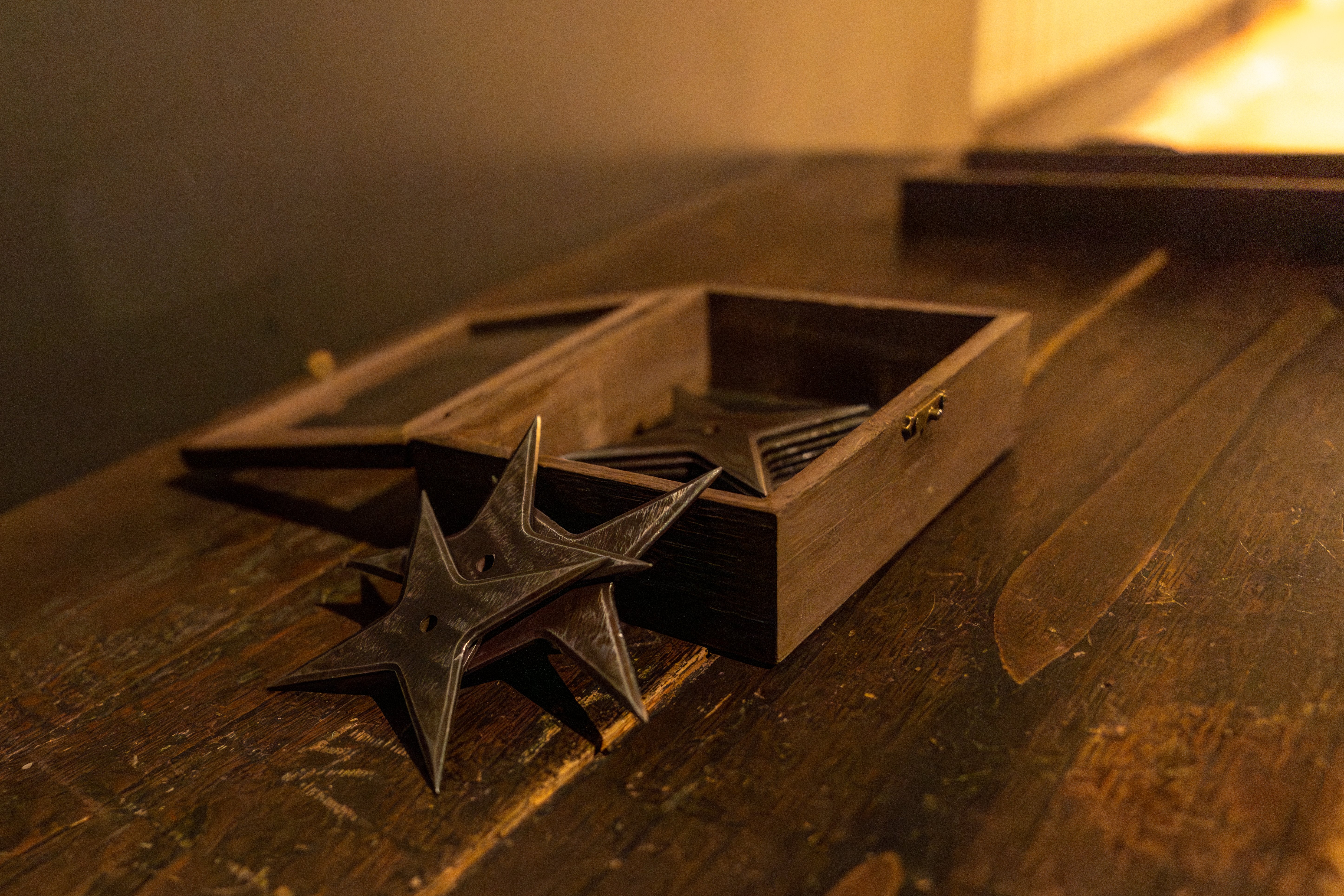 Shuriken at Iga Ninja Experience