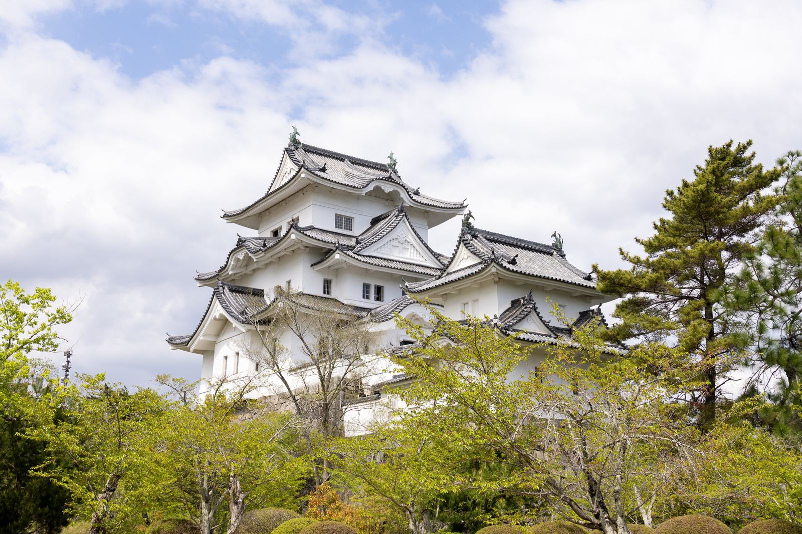 Iga Ueno Castle from below, framed by trees