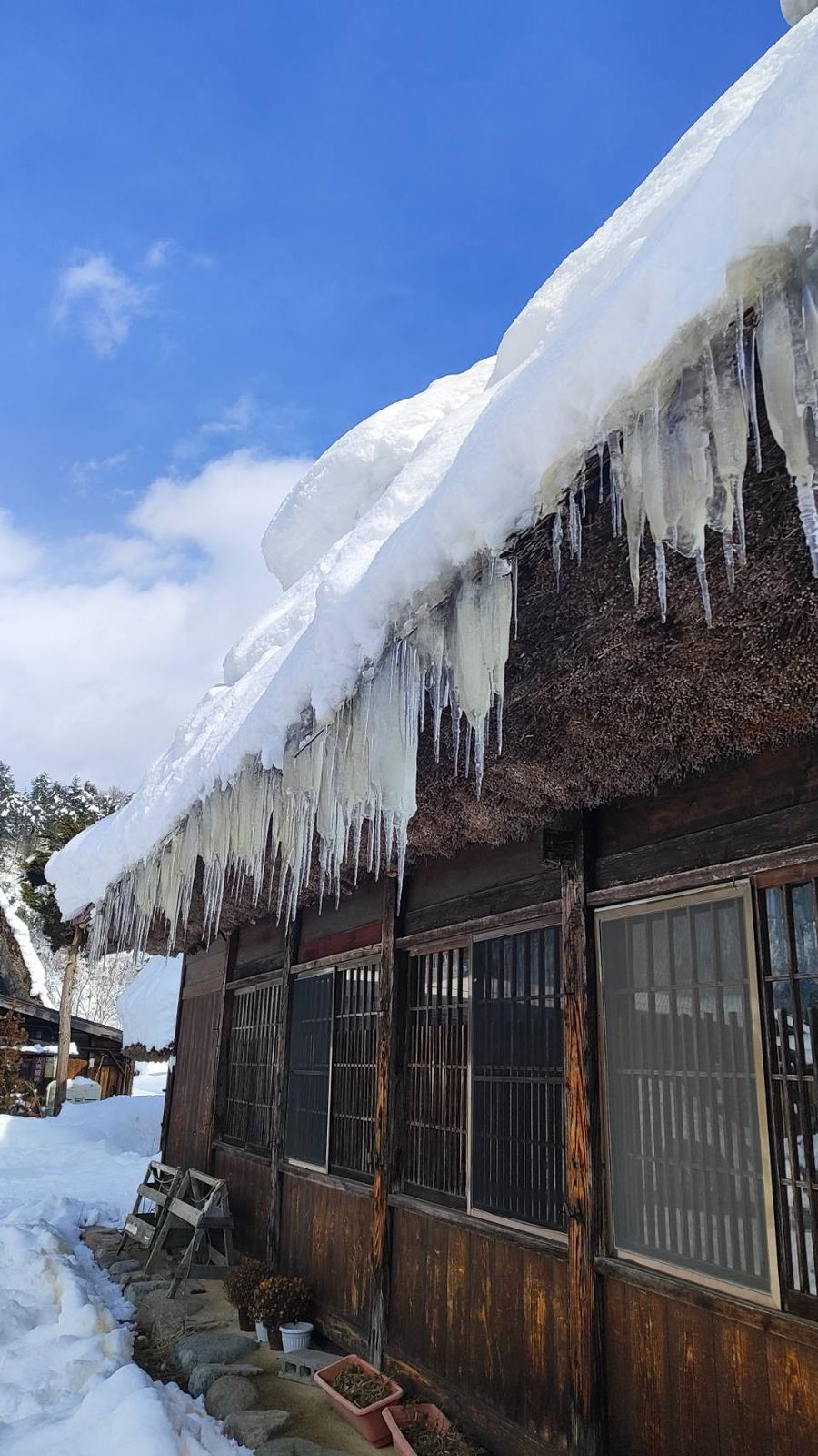 Enormous icicles hanging from a thatched roof
