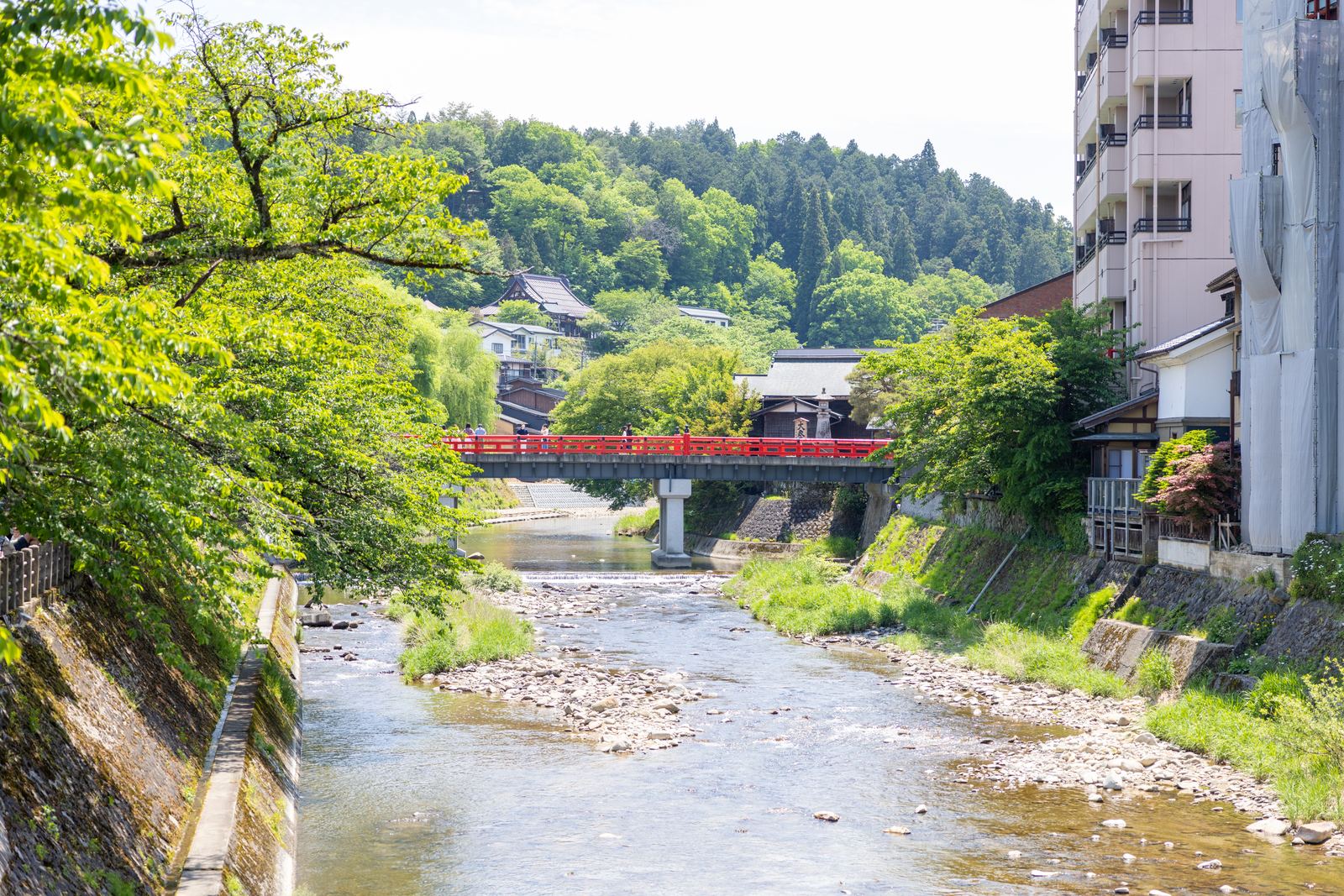 Miyagawa river and red bridge in Takayama spring greenery